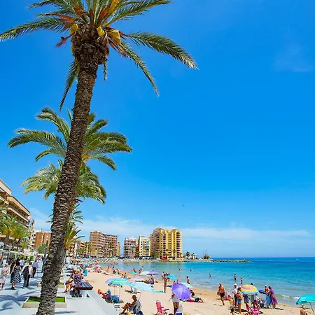 037 Modern Sweet - Alicante *