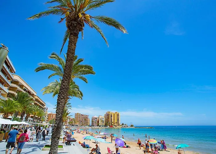 037 Modern Sweet - Alicante *